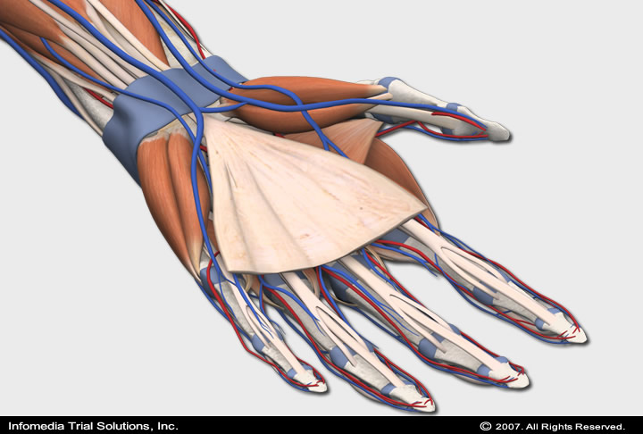 Medical Animations & Illustrations