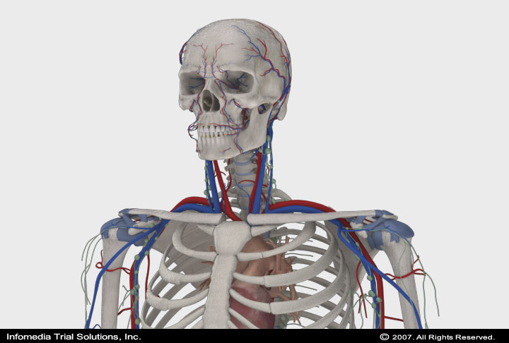 Medical Animations & Illustrations