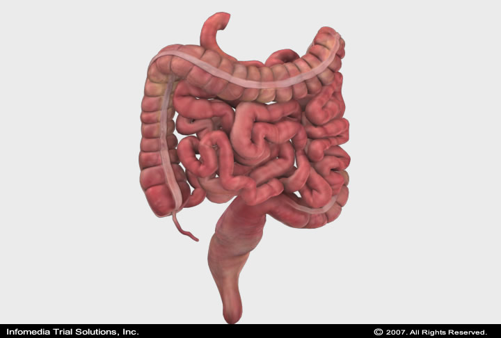 Medical Animations & Illustrations